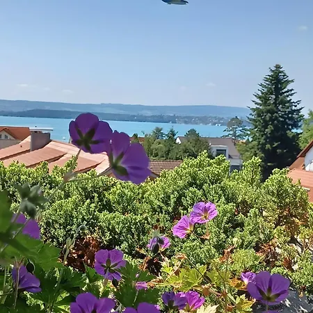 Koberstaedt Meersburg